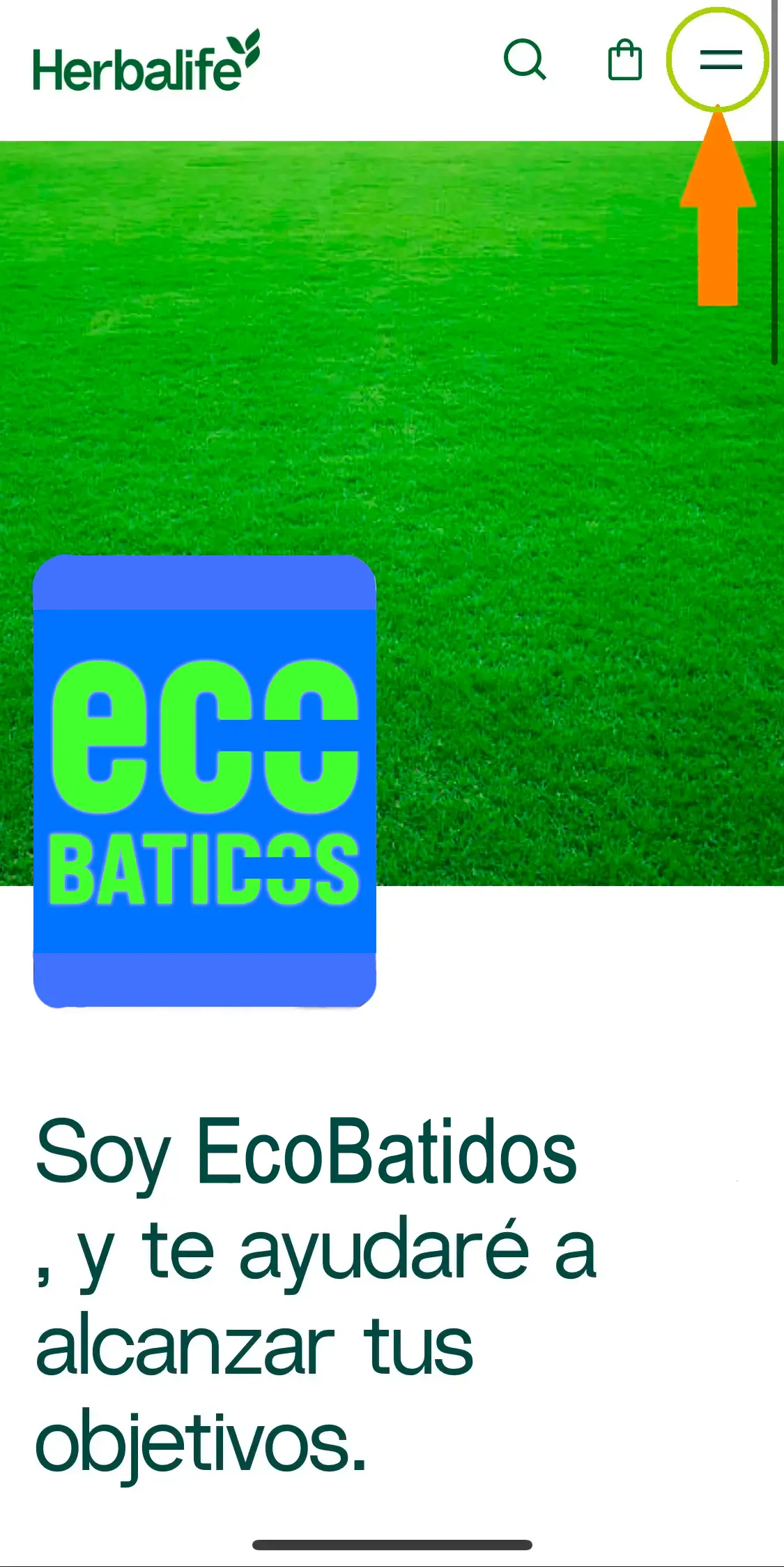 Herbalife one ecobatidos